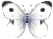kohlweissling.png