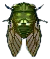 mannazikade.png