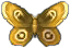 motte.png