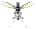 muecke.png