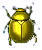 skarabaeus.png
