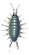 strandassel.png