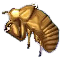 zikadenlarvenhaut.png