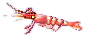 eismeergarnele.png
