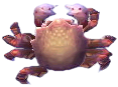kegani-krabbe.png