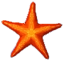 seestern.png