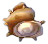 turbanschnecke.png