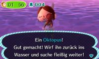 Oktopustauchen