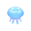 Blaumond-Qualle