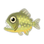 Gelber Piranha