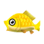 Gold-Koi-Karpfen