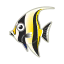 Halfterfisch