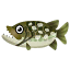 Hecht