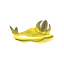 Honig-Nacktkiemer