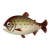 Huchen