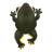 Kaiser-Goliathfrosch