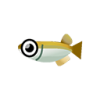 Killifisch