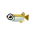 Killifisch