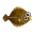 Kliesche
