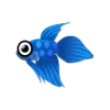 Labyrinthfisch