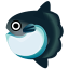 Mondfisch