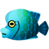 Napoleonfisch