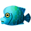 Napoleonfisch