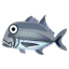Pferdemakrele