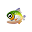 Piranha