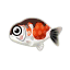 Ranchu-Goldfisch
