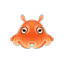 Regenschirm-Oktopus