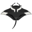 Riesen-Mantarochen