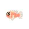 Rosé-Anemonenfisch