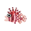 Rosé-Feuerfisch
