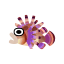 Rotfeuerfisch