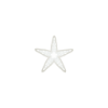 Weiß-Seestern