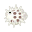 Weißflossen-Igelfisch