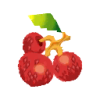 1a-Litschi