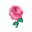 Pinkrose