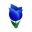 Saphirtulpe