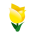 Viridifloratulpe