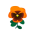 Korallenveilchen