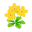 Gelb-Butterblumen