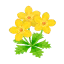 Gelb-Butterblumen