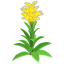 Gelb-Guzmania