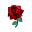 Kupfer-Rostrosen