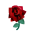 Kupfer-Rostrosen