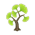Grün-Ginkgobaum