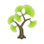 Grün-Ginkgobaum