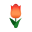 Rot-Lenztulpe